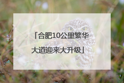合肥10公里繁华大道迎来大升级