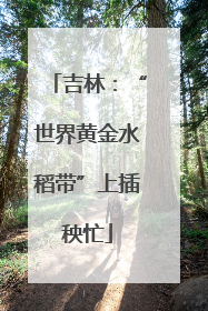 吉林：“世界黄金水稻带”上插秧忙