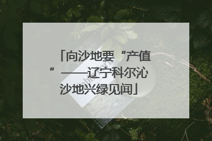 向沙地要“产值”——辽宁科尔沁沙地兴绿见闻