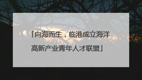 向海而生，临港成立海洋高新产业青年人才联盟