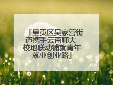 呈贡区吴家营街道携手云南师大 校地联动铺就青年就业创业路