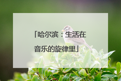 哈尔滨：生活在音乐的旋律里