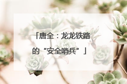 唐全：龙龙铁路的“安全哨兵”