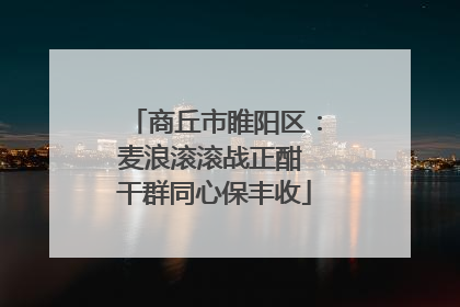 商丘市睢阳区：麦浪滚滚战正酣 干群同心保丰收