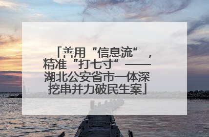 善用“信息流”，精准“打七寸”——湖北公安省市一体深挖串并力破民生案