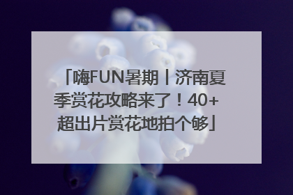 嗨FUN暑期丨济南夏季赏花攻略来了！40+超出片赏花地拍个够