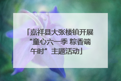 嘉祥县大张楼镇开展“童心六一季 粽香端午时”主题活动