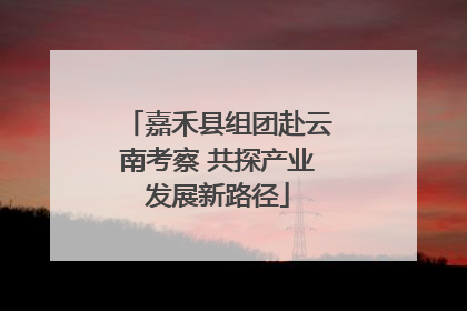 嘉禾县组团赴云南考察 共探产业发展新路径