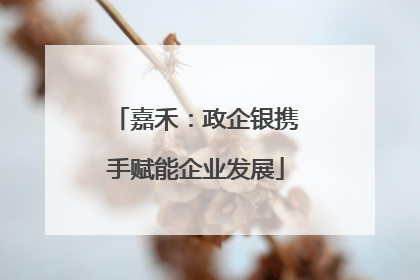 嘉禾：政企银携手赋能企业发展