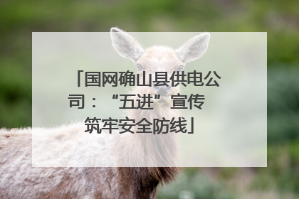 国网确山县供电公司：“五进”宣传 筑牢安全防线