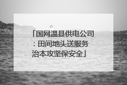 国网温县供电公司：田间地头送服务 治本攻坚保安全