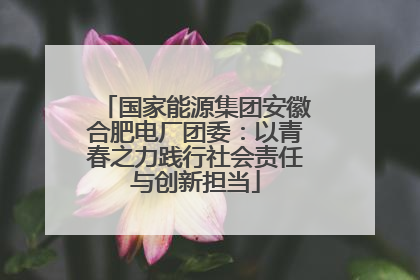 国家能源集团安徽合肥电厂团委：以青春之力践行社会责任与创新担当