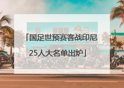 国足世预赛客战印尼25人大名单出炉