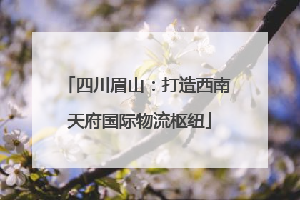 四川眉山：打造西南天府国际物流枢纽