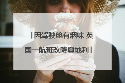 因驾驶舱有烟味 英国一航班改降奥地利