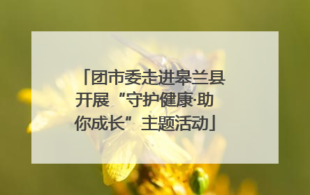 团市委走进皋兰县开展“守护健康·助你成长”主题活动
