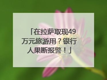 在拉萨取现49万元旅游用？银行人果断报警！