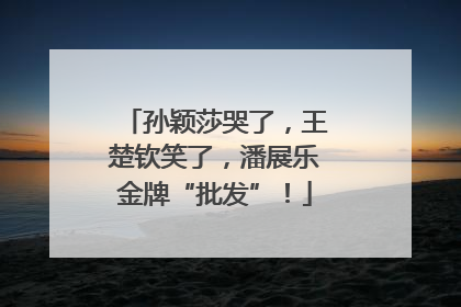 孙颖莎哭了，王楚钦笑了，潘展乐金牌“批发”！