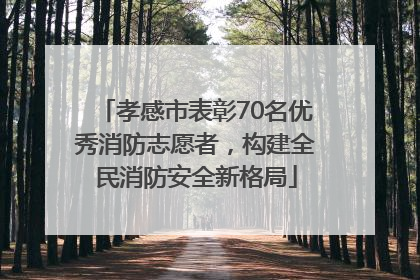 孝感市表彰70名优秀消防志愿者，构建全民消防安全新格局