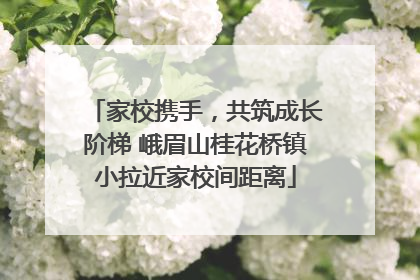 家校携手，共筑成长阶梯 峨眉山桂花桥镇小拉近家校间距离