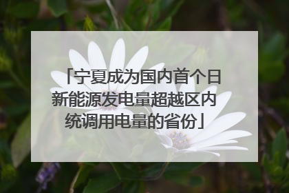 宁夏成为国内首个日新能源发电量超越区内统调用电量的省份