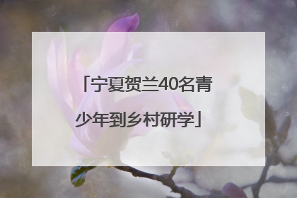 宁夏贺兰40名青少年到乡村研学