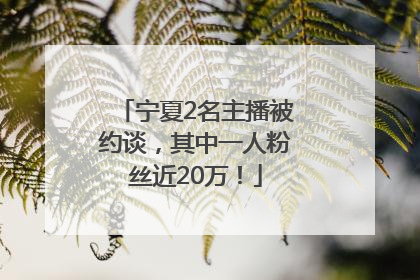 宁夏2名主播被约谈，其中一人粉丝近20万！