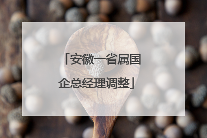 安徽一省属国企总经理调整