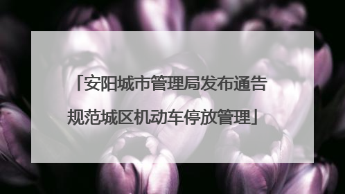 安阳城市管理局发布通告规范城区机动车停放管理