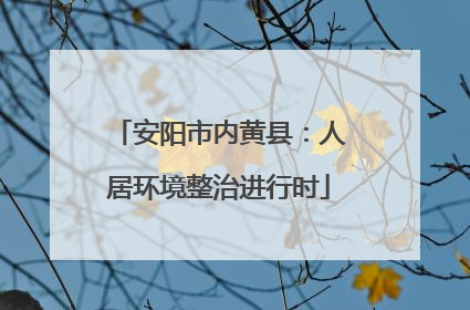 安阳市内黄县：人居环境整治进行时