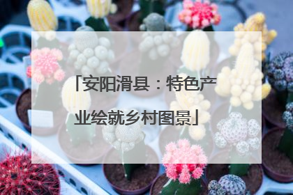 安阳滑县：特色产业绘就乡村图景