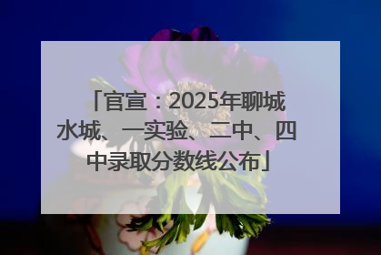 官宣：2025年聊城水城、一实验、二中、四中录取分数线公布