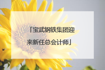 宝武钢铁集团迎来新任总会计师