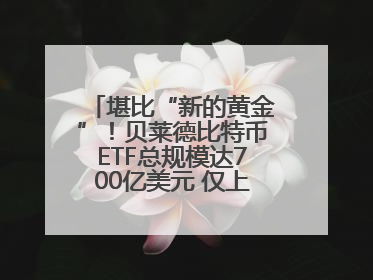 堪比“新的黄金”！贝莱德比特币ETF总规模达700亿美元 仅上市一年多