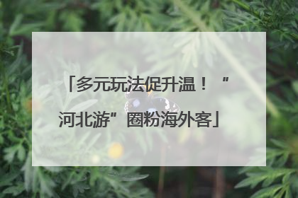多元玩法促升温！“河北游”圈粉海外客