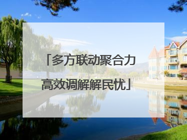 多方联动聚合力 高效调解解民忧