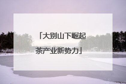 大别山下崛起茶产业新势力