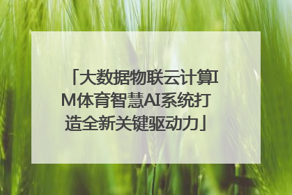 大数据物联云计算IM体育智慧AI系统打造全新关键驱动力