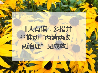 大有镇：多措并举推动“两清两改两治理”见成效