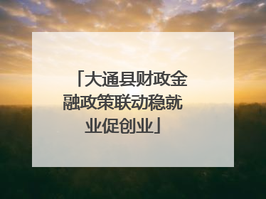 大通县财政金融政策联动稳就业促创业