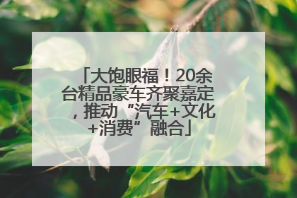 大饱眼福！20余台精品豪车齐聚嘉定，推动“汽车+文化+消费”融合