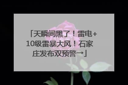 天瞬间黑了！雷电+10级雷暴大风！石家庄发布双预警→