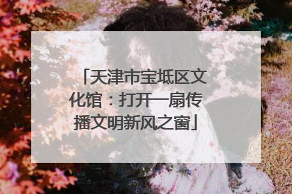 天津市宝坻区文化馆：打开一扇传播文明新风之窗