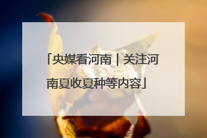 央媒看河南｜关注河南夏收夏种等内容