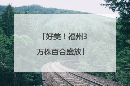 好美！福州3万株百合盛放