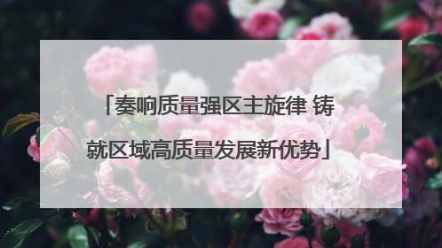 奏响质量强区主旋律 铸就区域高质量发展新优势