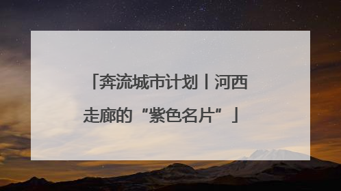 奔流城市计划丨河西走廊的“紫色名片”