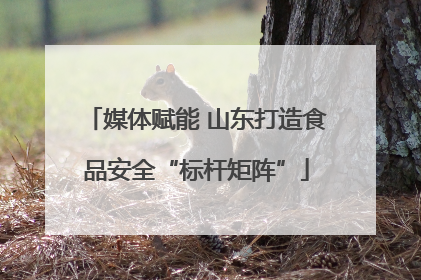媒体赋能 山东打造食品安全“标杆矩阵”