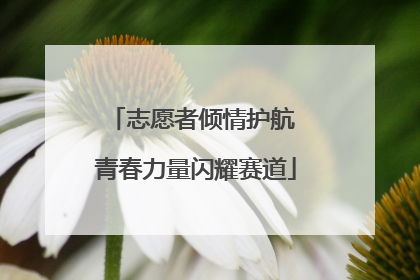 志愿者倾情护航 青春力量闪耀赛道