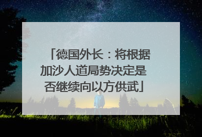 德国外长：将根据加沙人道局势决定是否继续向以方供武